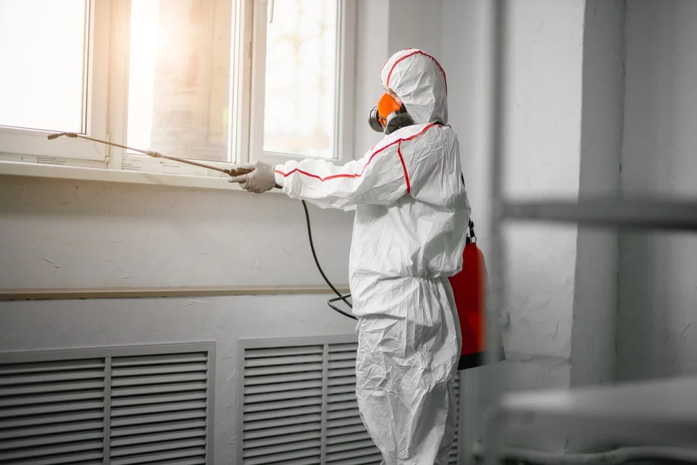 Professional mold remediation services in Osseo, MN